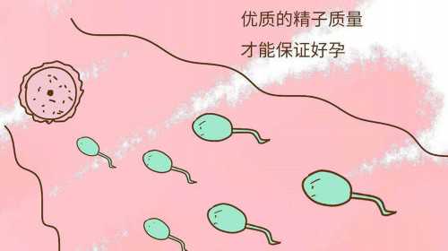 武汉私立机构供卵试管靠谱吗 武汉做试管婴儿大约要多少钱 ‘孕囊1.4乘以0.8是