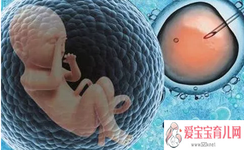 试管婴儿胚胎冷冻条件